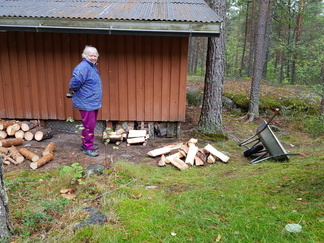 Pinon tekijä 
